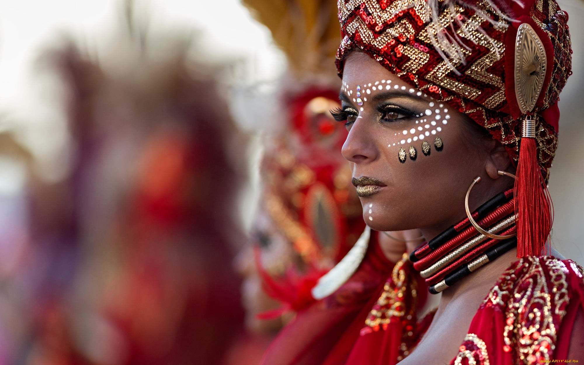 , ,   , brasil, carnival